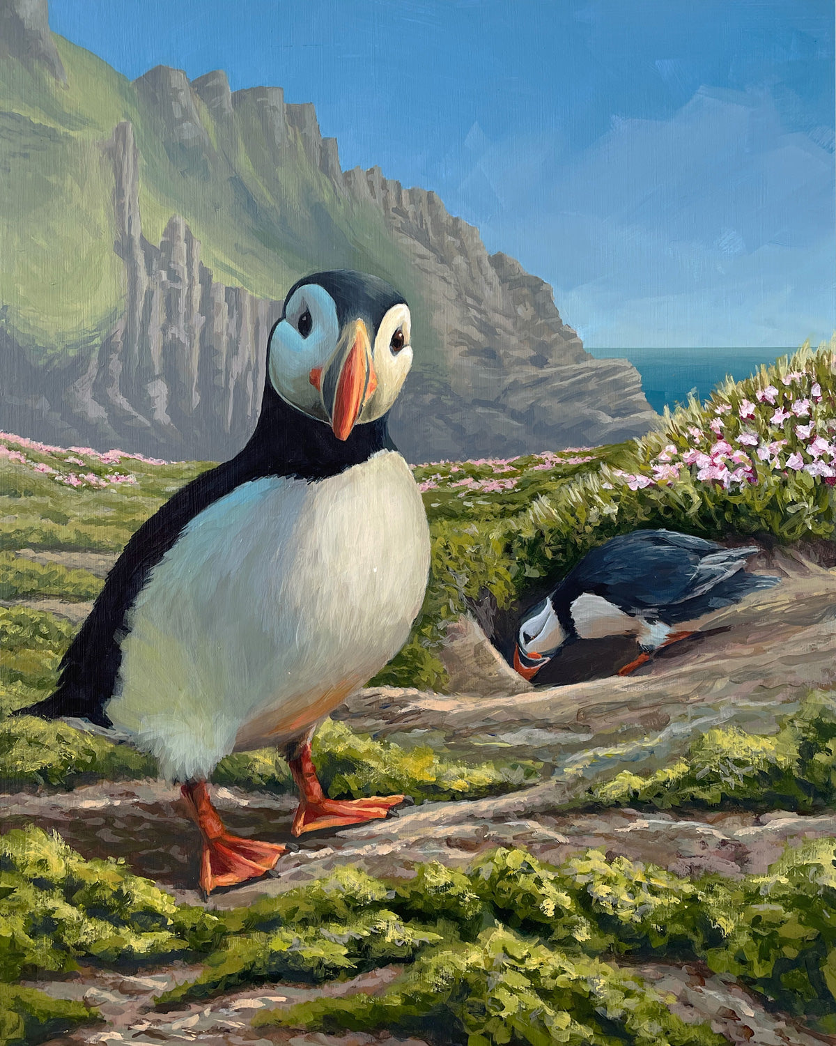 Puffinshire