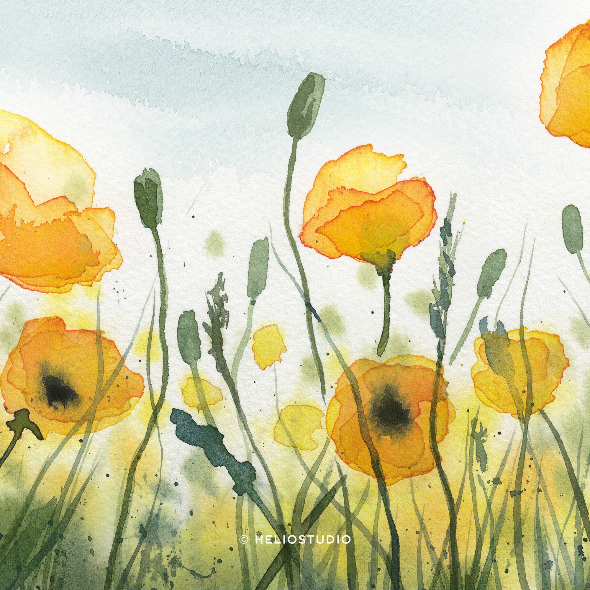 Yellow Poppy Meadow – Panoramic Art Print