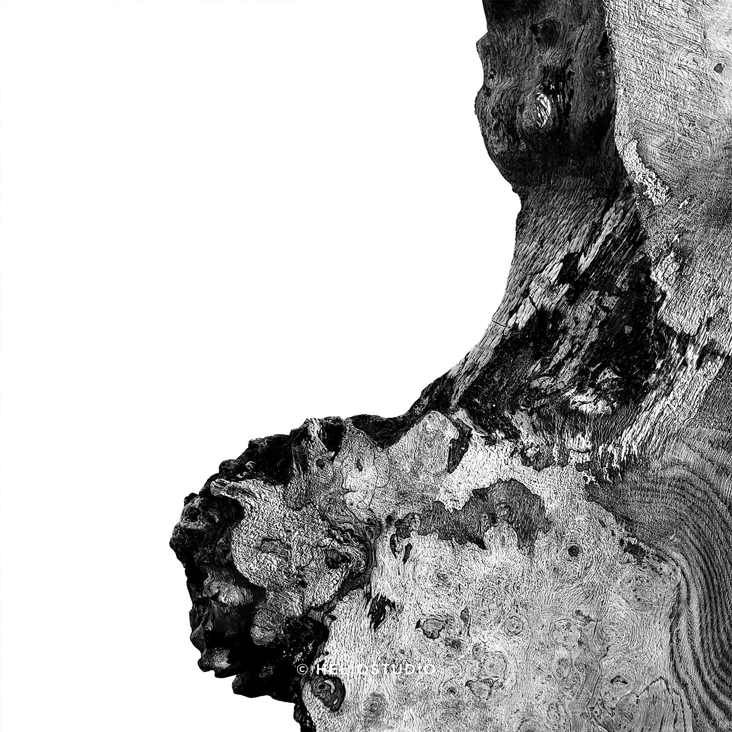 Abstract Rustic Walnut Photography – Two Piece Wall Art