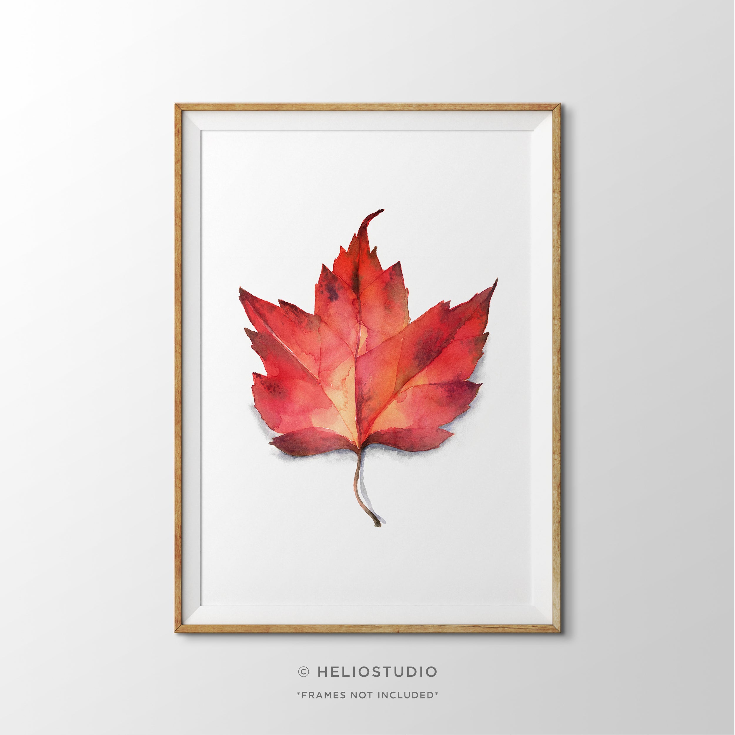 Red Fall Leaf – Art Print